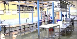 مسالخ بلدية دبا تستقبل 2810 ذبيحة خلال شهر مارس